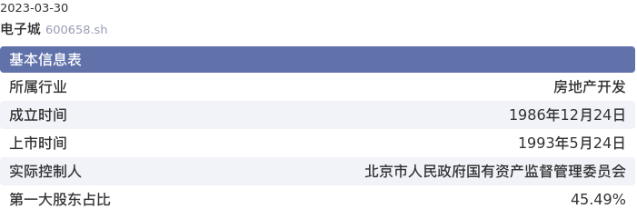 基本面-公司信息:电子城股票基本面分析报告