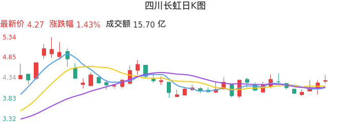 整体分析-日K图：四川长虹股票整体分析报告