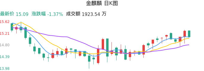 整体分析-日K图：金麒麟股票整体分析报告