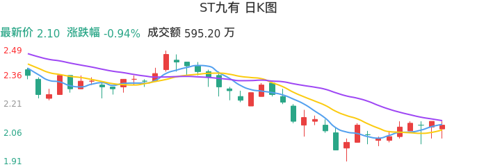 整体分析-日K图：ST九有股票整体分析报告