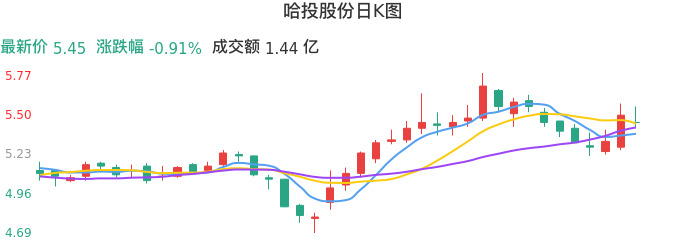 整体分析-日K图：哈投股份股票整体分析报告