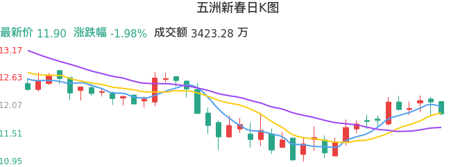 整体分析-日K图：五洲新春股票整体分析报告