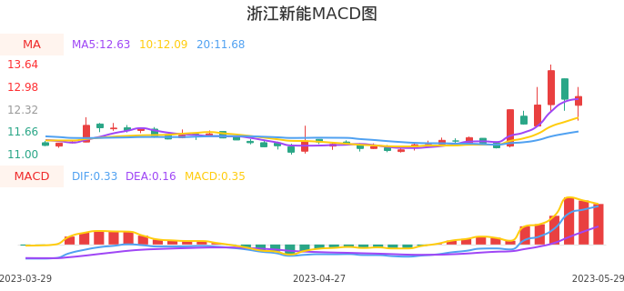 技术面-筹码分布、MACD图：浙江新能股票技术面分析报告