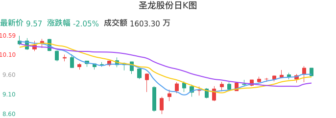整体分析-日K图：圣龙股份股票整体分析报告