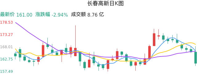 整体分析-日K图：长春高新股票整体分析报告