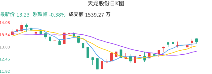 整体分析-日K图：天龙股份股票整体分析报告