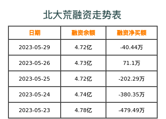 北大荒融资表
