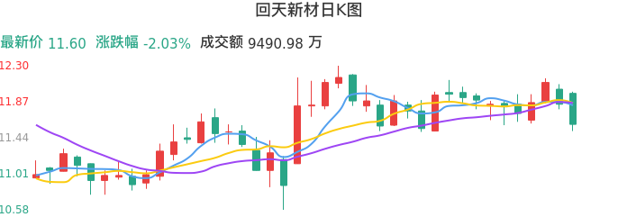 整体分析-日K图：回天新材股票整体分析报告