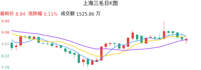 整体分析-日K图：上海三毛股票整体分析报告