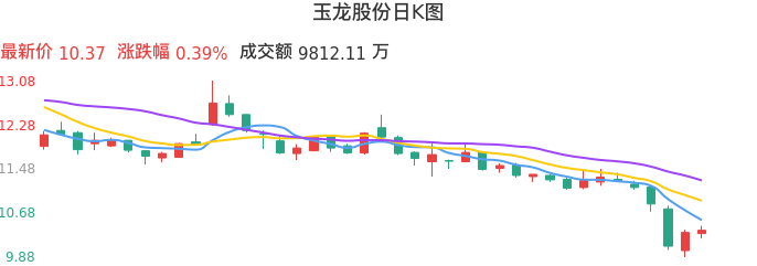 整体分析-日K图:玉龙股份股票整体分析报告