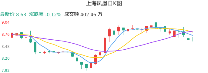 整体分析-日K图：上海凤凰股票整体分析报告