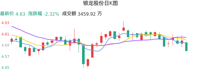 整体分析-日K图：银龙股份股票整体分析报告