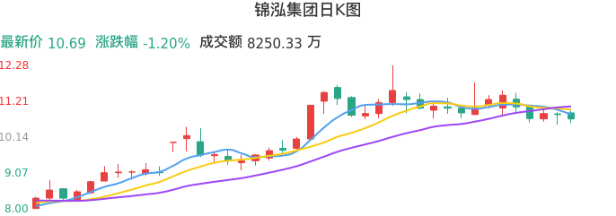 整体分析-日K图：锦泓集团股票整体分析报告