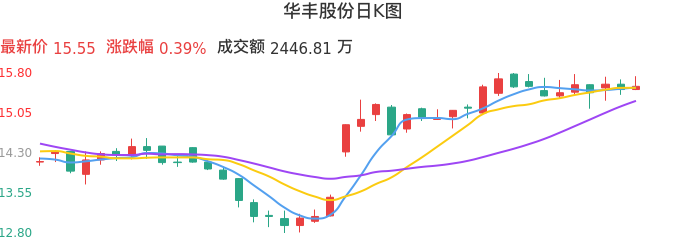 整体分析-日K图：华丰股份股票整体分析报告