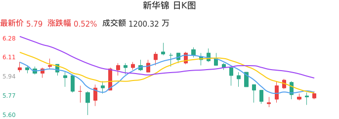 整体分析-日K图：新华锦股票整体分析报告
