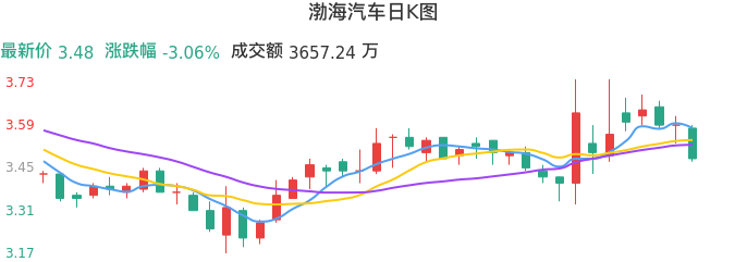 整体分析-日K图：渤海汽车股票整体分析报告