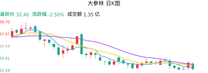 整体分析-日K图：大参林股票整体分析报告