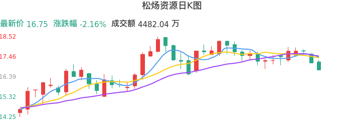 整体分析-日K图：松炀资源股票整体分析报告