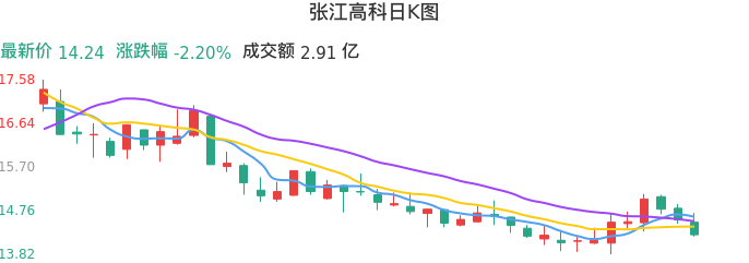 整体分析-日K图：张江高科股票整体分析报告