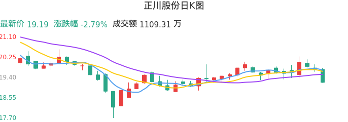整体分析-日K图：正川股份股票整体分析报告