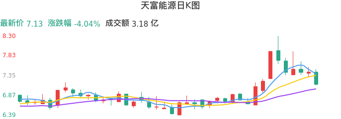 整体分析-日K图：天富能源股票整体分析报告