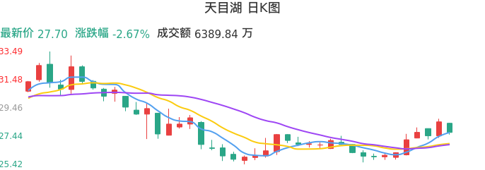 整体分析-日K图：天目湖股票整体分析报告