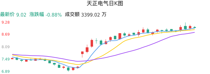 整体分析-日K图：天正电气股票整体分析报告