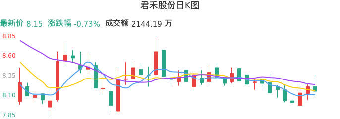 整体分析-日K图：君禾股份股票整体分析报告