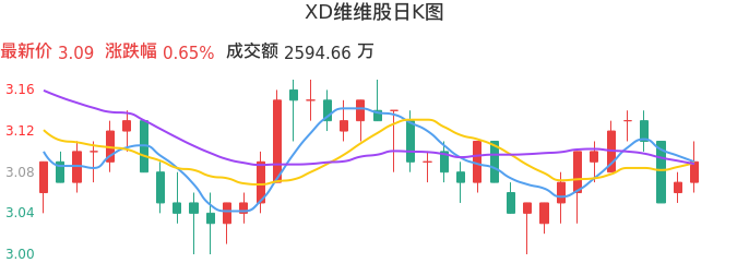 整体分析-日K图：XD维维股股票整体分析报告
