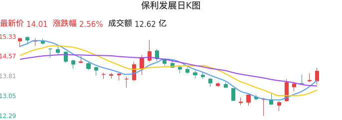 整体分析-日K图：保利发展股票整体分析报告