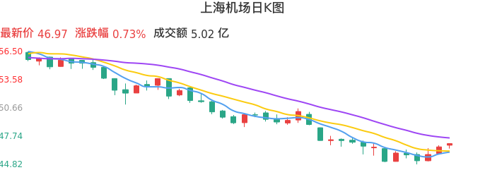 整体分析-日K图：上海机场股票整体分析报告