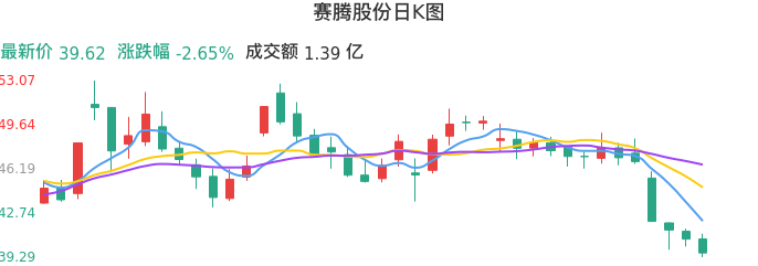 整体分析-日K图：赛腾股份股票整体分析报告