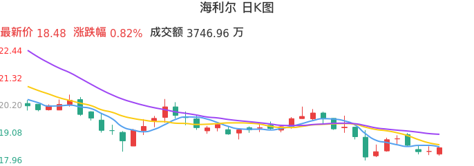 整体分析-日K图：海利尔股票整体分析报告