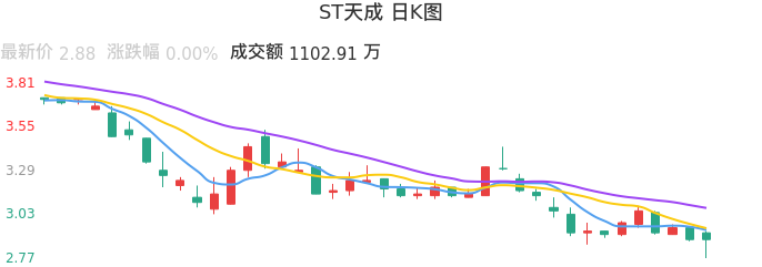 整体分析-日K图：ST天成股票整体分析报告