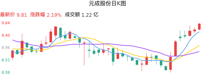 整体分析-日K图：元成股份股票整体分析报告