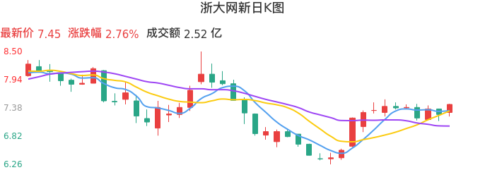 整体分析-日K图：浙大网新股票整体分析报告