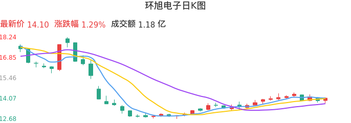 整体分析-日K图:环旭电子股票整体分析报告