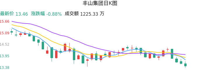 整体分析-日K图：丰山集团股票整体分析报告
