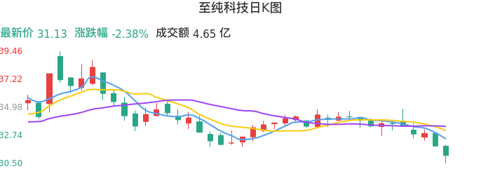整体分析-日K图：至纯科技股票整体分析报告