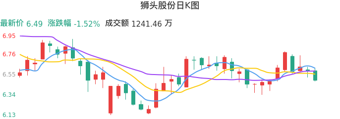 整体分析-日K图：狮头股份股票整体分析报告