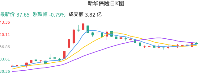 整体分析-日K图：新华保险股票整体分析报告