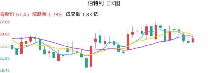 整体分析-日K图：伯特利股票整体分析报告