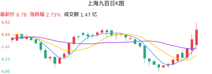 整体分析-日K图：上海九百股票整体分析报告
