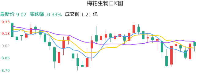 整体分析-日K图：梅花生物股票整体分析报告