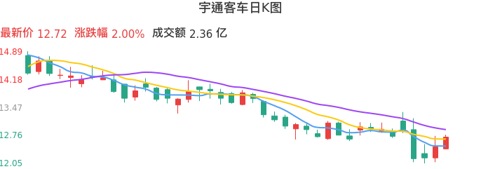 整体分析-日K图：宇通客车股票整体分析报告