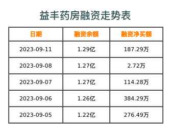 益丰药房融资表