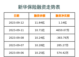 新华保险融资表