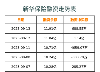 新华保险融资表
