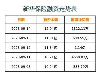 新华保险融资表