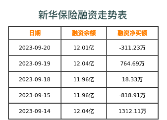 新华保险融资表